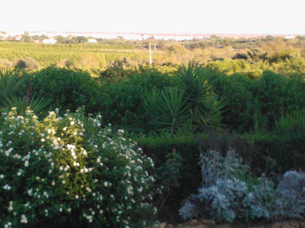 Quinta Da Moura Casa-De-Campo Hostal Tavira Exterior foto
